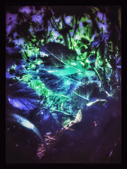 Item #3787080761074609709675817509753112159059746763483256848434353542403245211653 Media