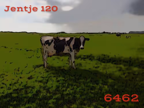 Item #106168068867162485094593885732241547229015412580842941571810197534049738686465 Media