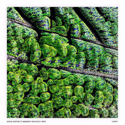 Item #59383891983788945994293353380549822349655564681497795695575904095967320735745 Media