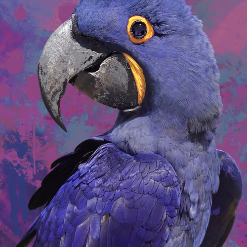pUrPle hY
