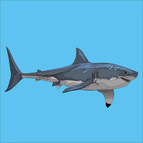 BL#001