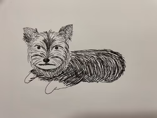 Item #70195818956723273800123023802918365288050094090896086736063844000257395392513 Media