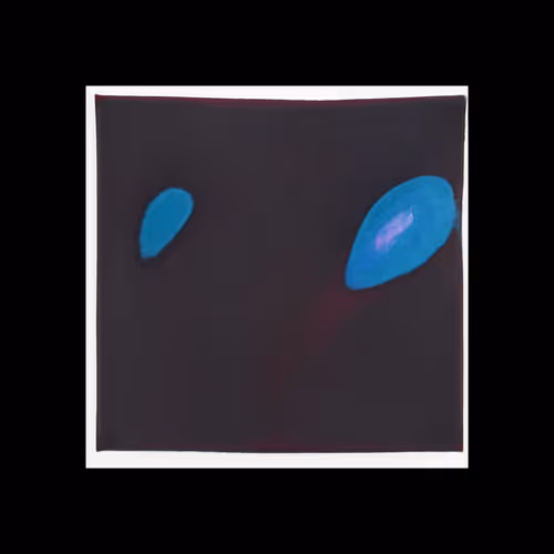 Item #5226173567243613710685186182573715388889274590770803527898219974636511166465 Media