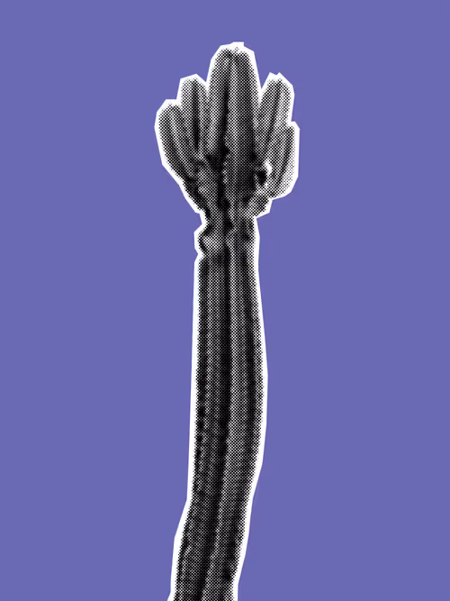 Item #25379124807980713745219244606437574046087384809022650852355167134610656067585 Media