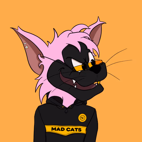 Mr Mad Cat