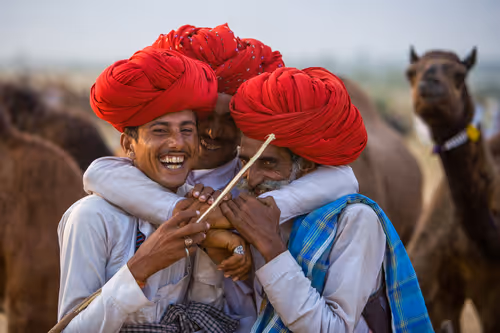 Item #24110165408155573398908987562152031273205884089304227586706331190817684717569 Media