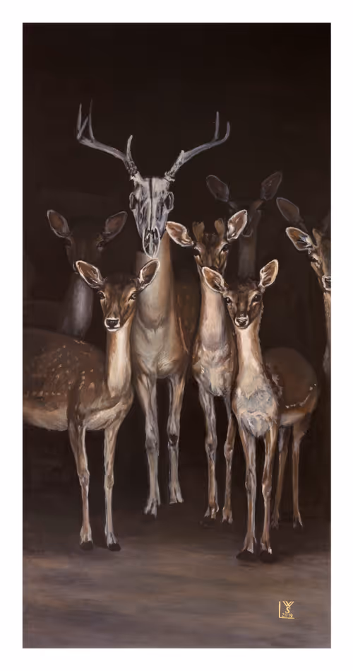 Item #51079697506024895434373962956390740361922377334069511361187902071798161735681 Media