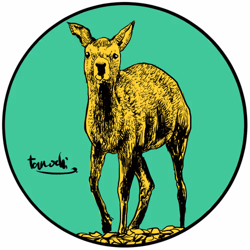 Item #112440547499717604048536072211740983446434024043436652955614128760083449905153 Media