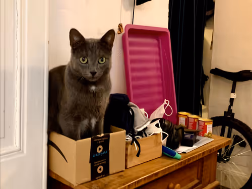 Item #26989150164140609200247036079790408866606814908493437460198890366970764460033 Media