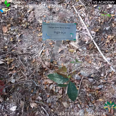 Item #8500196597889277390194123329501889087166328879864934763448348853403127906305 Media