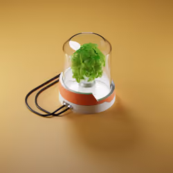 Terrarium