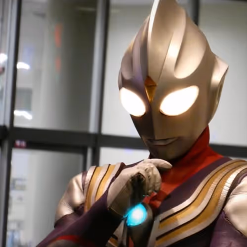 Untitled Collection #44860008