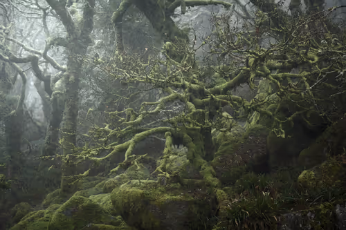 Item #72639390708267126639436568569652760193401123475841185469851730199379166887937 Media