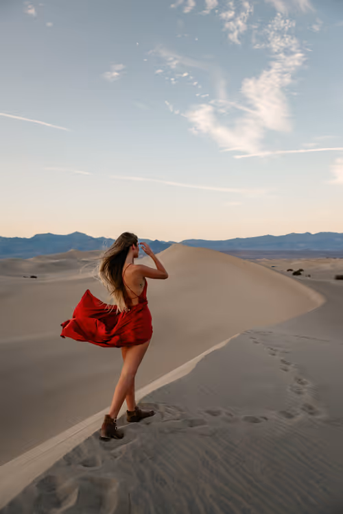 Item #49247476935067578568194413039611584540115636094576503484861724105030301122561 Media