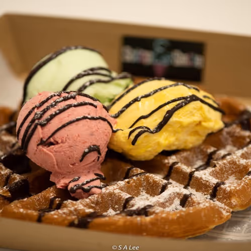 waffleGelato