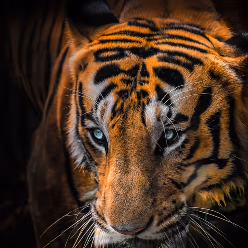 25151610970599137938244212518636704189948551602899026125682203122269666934810