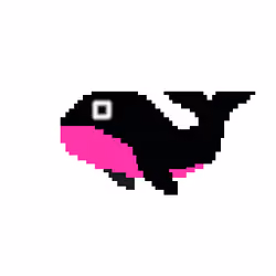 Rich Whales 497