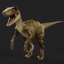 Raptor 1