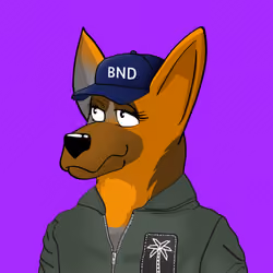 BNDog 933