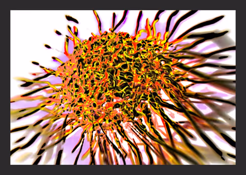 Item #106001697957459628944035858812615841131152267018124591859420366072852212875265 Media