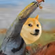 110473361632261669912565539602449606788298723469812631769659886416625198432257