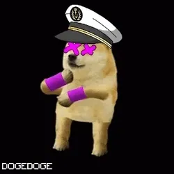 DOGE DOGE