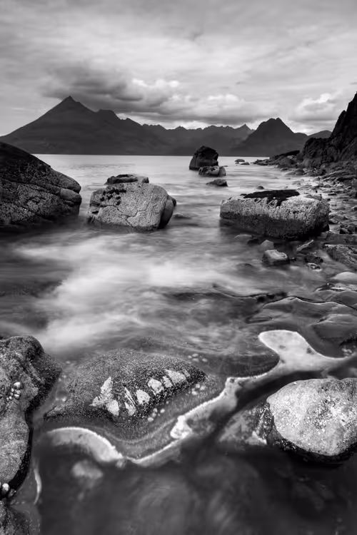 Item #41307754128955213419929316097644134962608763953462543917876022971749950816257 Media