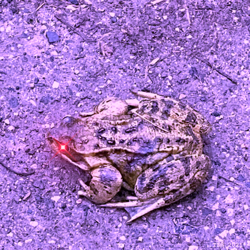 Item #7617488058710117402786806328745209336955427580034910121800737436051661914113 Media