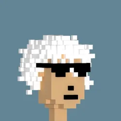 3DVoxelPunk 2852