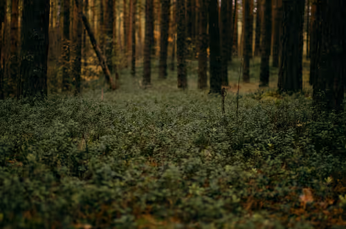 Item #89749655781633695214918973850275472722969414754438239918620403808425127968769 Media