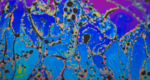 Item #11893448461842202167923125391346137616384292588036434545660885457290726998017 Media