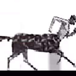 Running Centaur (after Muybridge)