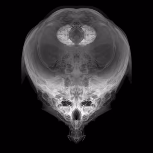 Item #85859191866638808365331437874953228966785819470149775310971061800265412771841 Media