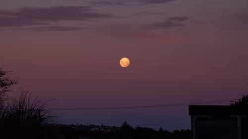 Item #100151078309057675366159992497543003968848618159963270405575559694383465889793 Media