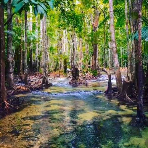 Emerald Lake