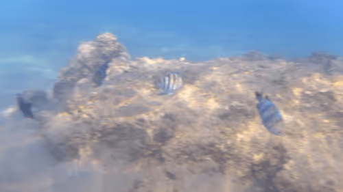 Item #32522392328516293709208538786472574869311995244495637720412795886144357138437 Media