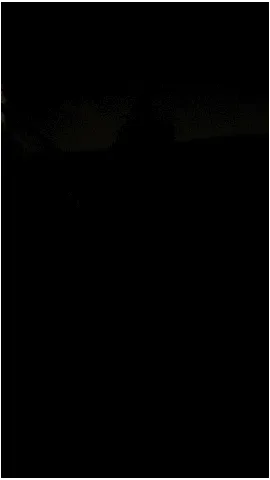 Walking Lights