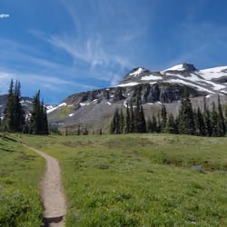 Paradise Trail