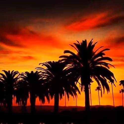 WhatIsCrypto Collection