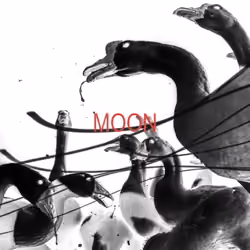 MOON