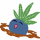 WaguJones Collection