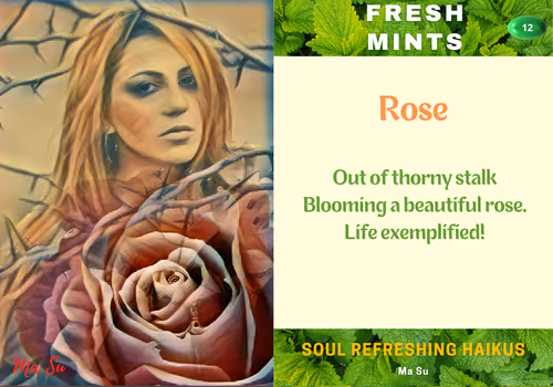 Item #6057597409106756895605825403941160326146643318688318732415003500725122629633 Media