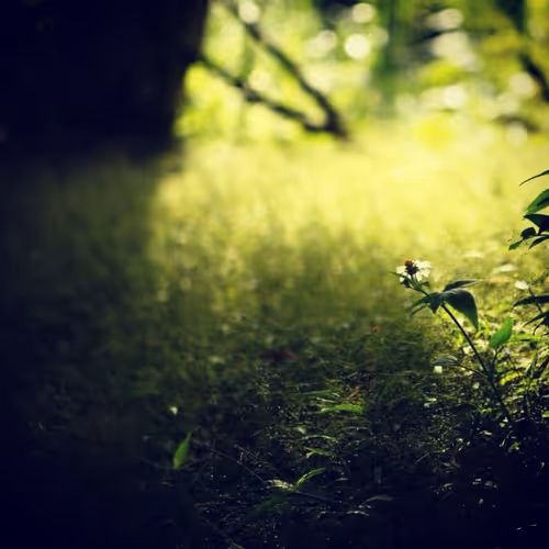 Item #105322358618701185533743754469895824107639028648078310589264470442201248169985 Media