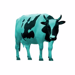 Crypto Cow Turquoise