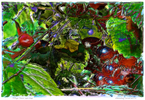 Item #6968899724388266606176016145545160509277227480062482001621938828301664518244 Media