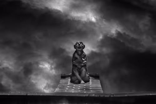 Item #40160686583094733528677484039903516258611509642019211679321071528738444804097 Media