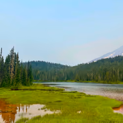 rainier