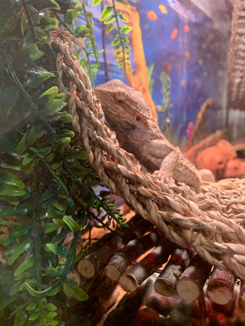 Item #101057092378302225736757120765437198261046760691228806068408149992472060100609 Media