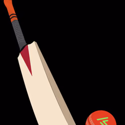 Khiladi Bat