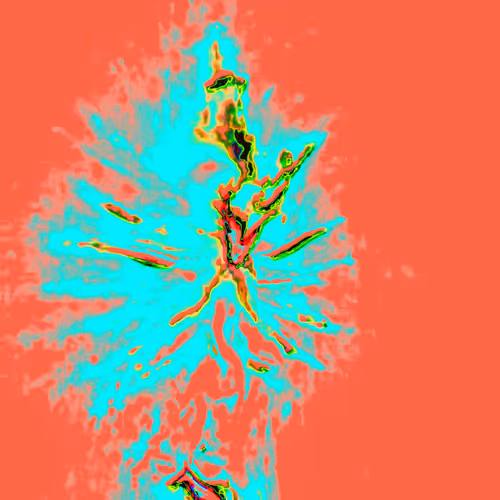 Item #38748192286267356930689689992324455160612969586483070519053316918231240278017 Media